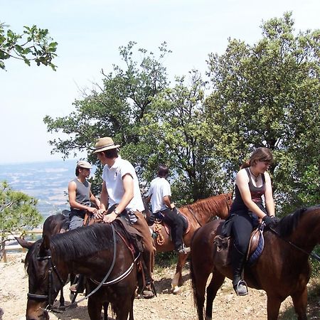 Espluga de Francolí Hotel Rural Ocell Francoli מראה חיצוני תמונה